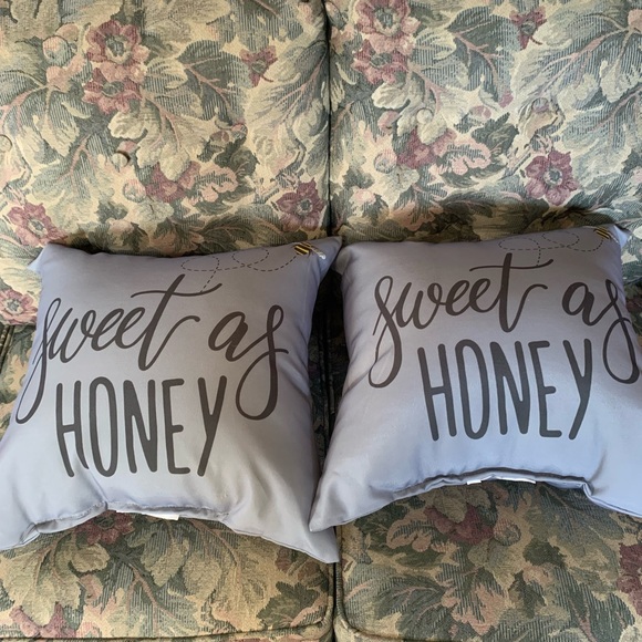 Other - Sweet as Honey Decorative Throw Pillows NEW